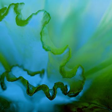 Under The Deep Blue