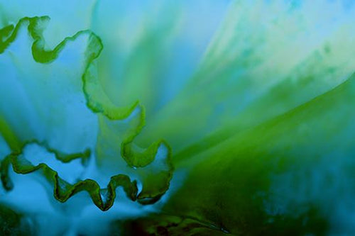 Under The Deep Blue II