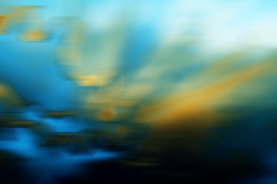 Coral Dive