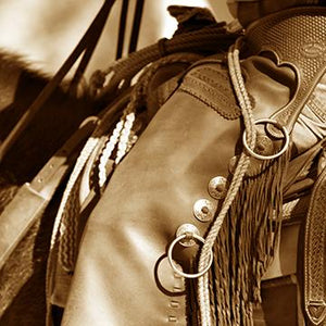 Chaps II