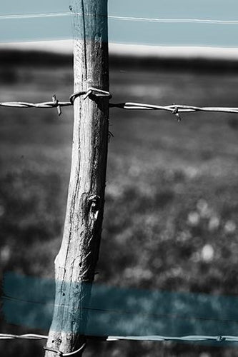 Barbed II