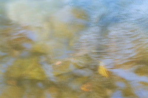 Reflective Waters