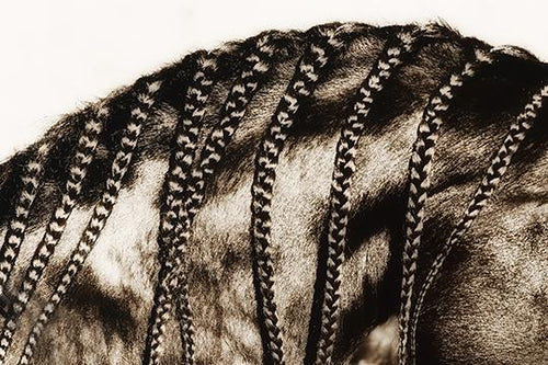 Plaiting2