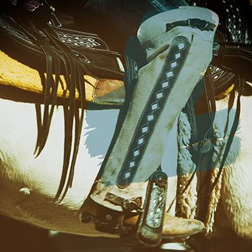 Fancy Boots
