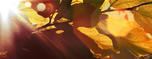 Light Travel 4-IV
