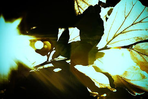 Light Travel 3