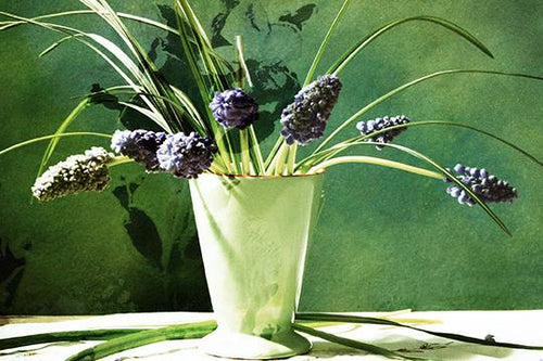 Still Life