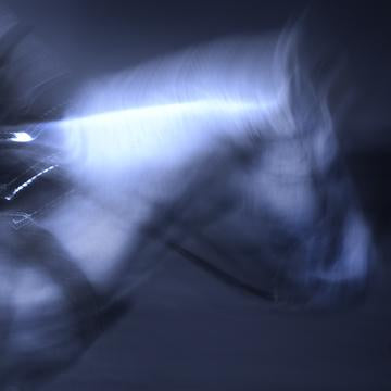 Pony In Motion