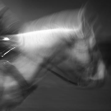 Pony In Motion II