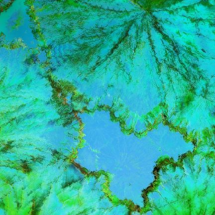 Botanical Outlaw aka Chita