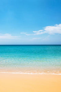 Beach Bliss