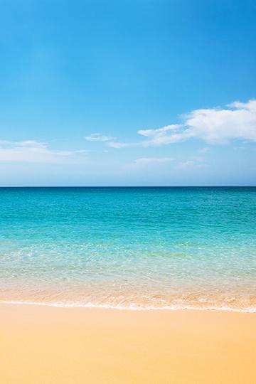 Beach Bliss