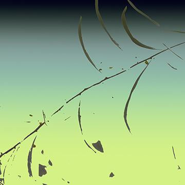 Essence II