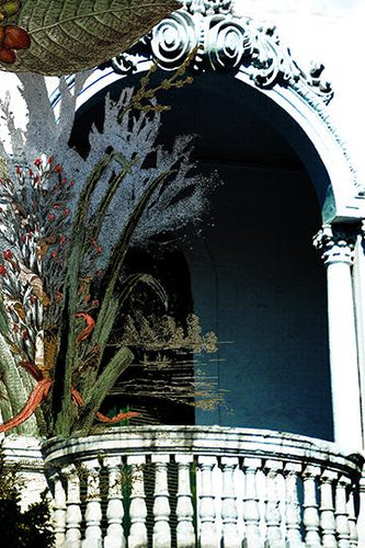 Architecture vs Nature