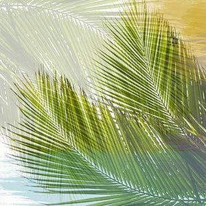 Tequila 3