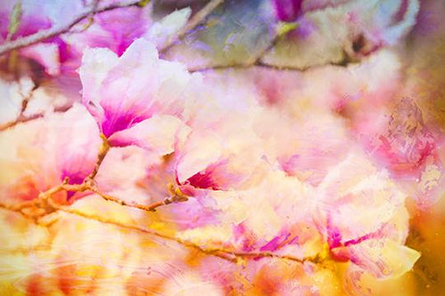 Spring Color Burst