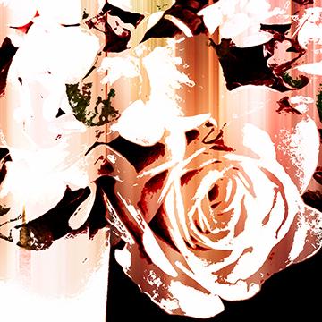 Fleurs