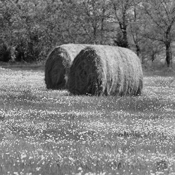 Hay Bales