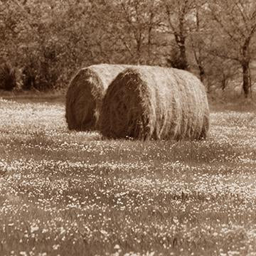 Hay Bales