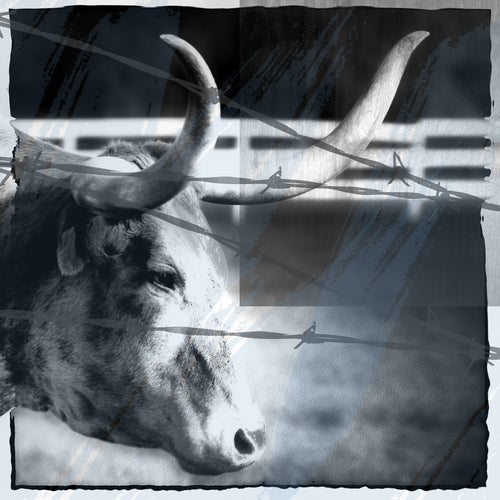 Wyoming