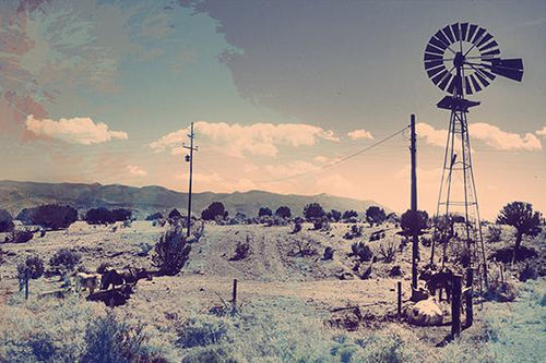 Under a Blue Sky